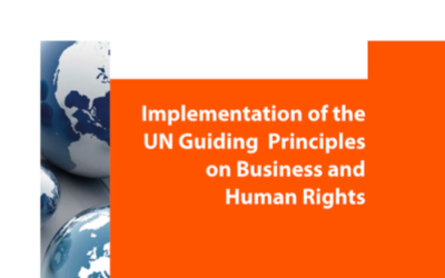 Analiza nt.&nbsp;wdrożenia Wytycznych ONZ na&nbsp;świecie