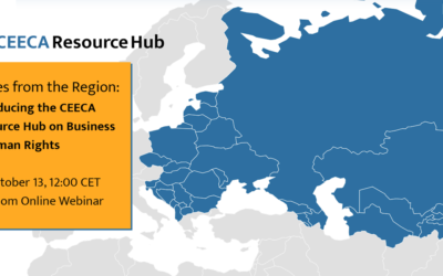 Voices from the Region: Introducing the CEECA Resource Hub on&nbsp;Business & Human Rights