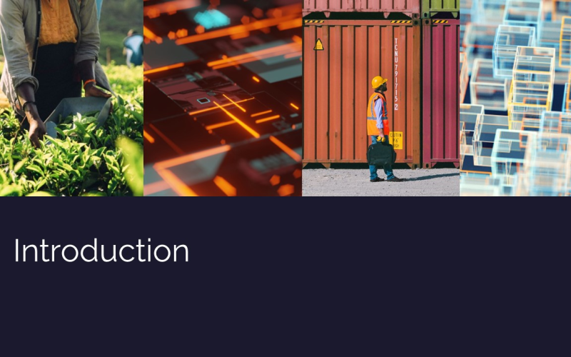 Polski Instytut Praw Człowieka i Biznesu | Materials for participants