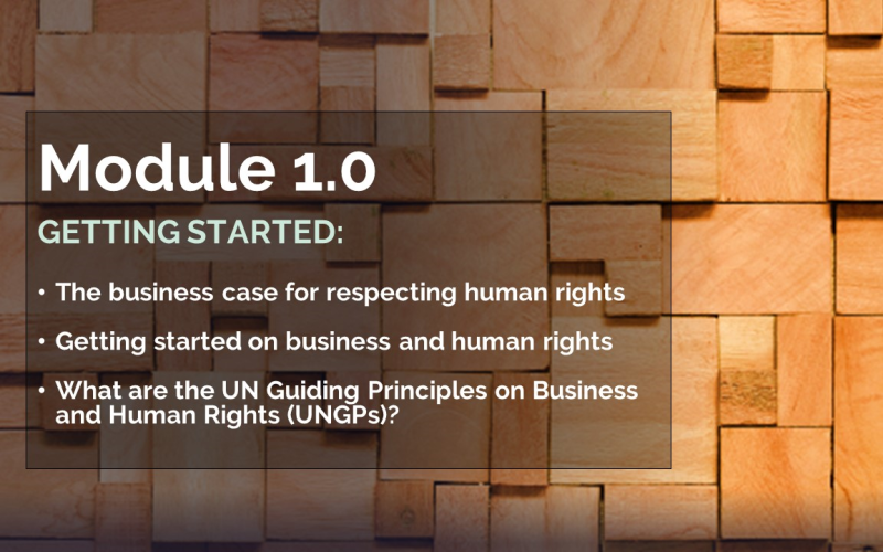 Polski Instytut Praw Człowieka i Biznesu | Materials for participants