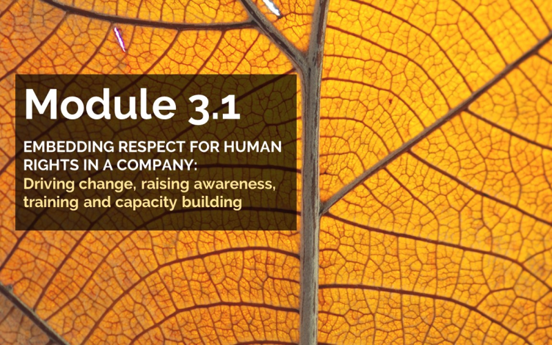 Polski Instytut Praw Człowieka i Biznesu | Materials for participants