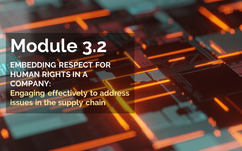 Polski Instytut Praw Człowieka i Biznesu | Materials for participants