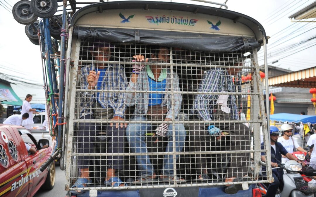 NIE&nbsp;dla produktów naznaczonych pracą przymusową – stanowisko społeczeństwa obywatelskiego