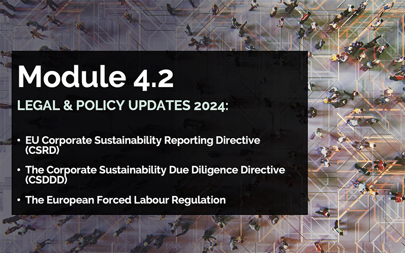 Polski Instytut Praw Człowieka i Biznesu | Materials for participants 2024
